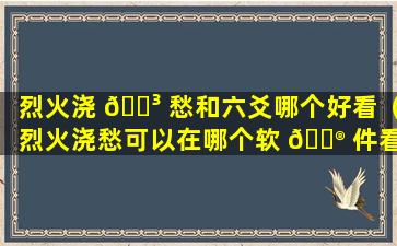 烈火浇 🌳 愁和六爻哪个好看（烈火浇愁可以在哪个软 💮 件看）